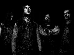 Image for Svart Crown