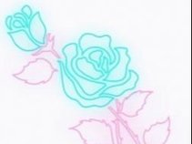 blue roses
