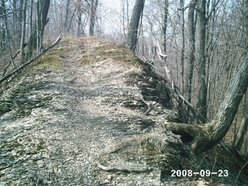 Image for Kevin Obermeyer