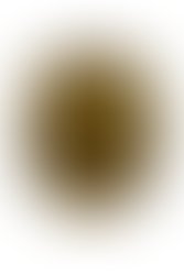 Chatgpt image apr 1 2026 04 20 45 pm