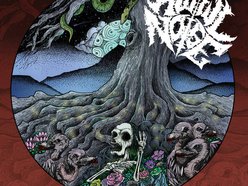 Image for Awful Noise