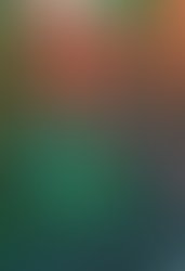 The forrest through the trees