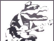 The Swamp Dogs