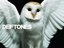 deftones