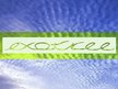 Exotree