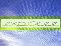 Exotree