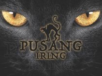 Pusang Iring