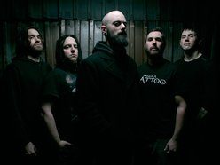 Image for Widow Sunday