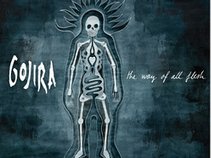 Gojira