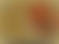 2022 thumbnail 2 