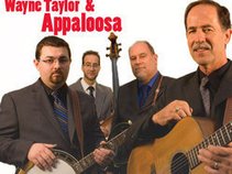 Wayne Taylor and Appaloosa