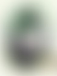 42538316 75e8 41da 8085 e5e80a63109f