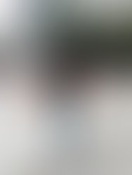 1770418294583