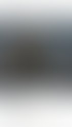19732216 1597214046990105 4773114539473110592 n