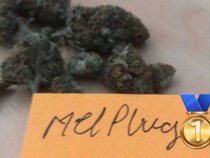 Melplug