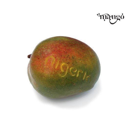 ReverbNation profile picture for @nigeria