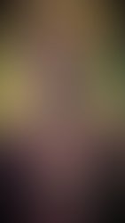 F8206ee9 efdf 4c31 9d00 d73dd05914a3