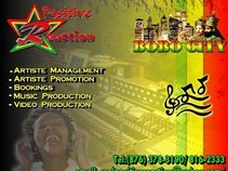 POSITIVE REACTION /BOBOCITY