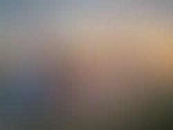 1371457079 ujpressphotonew