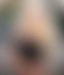 Fb img 16478603570834661
