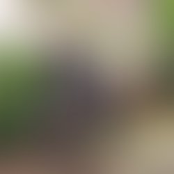 Artist 7544045 1660821061