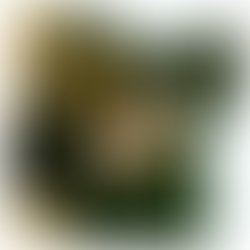 1390509733 artist 754754 1390509670