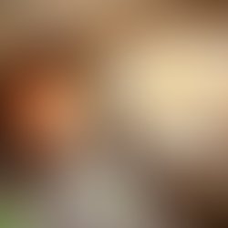 Musician 331526 1642229671