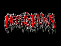 Necrostalker
