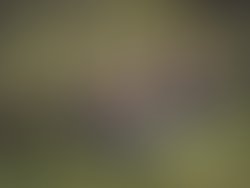 Untitled 6565