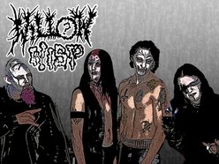Image for Willow Wisp