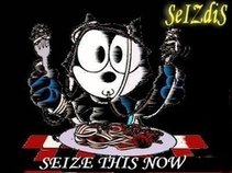 SeiZdiS