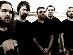 ReverbNation profile picture for @pigs