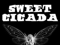 SWEET CICADA