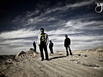 The Yaars