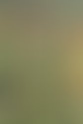 Ecd4d446dbdf0be63f7499b80445f55c232f2db3