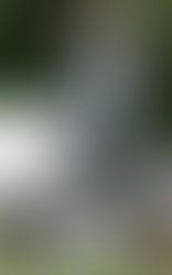 1386204337 artist 760560 1386204277