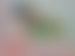 Artist 7607715 1647034437