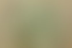 Fb img 1646000594697 3