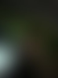 Img 7055