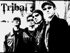 Image for Tribal (Switzerland)