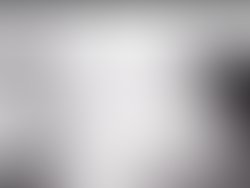 1645493009500 andi 2