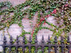 Never Settle for Less