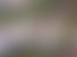 Artist 7635890 1649277797