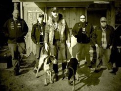 Image for The Grizzly Band