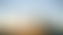 1375216306 artist 764010 1375216297