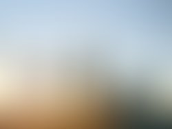 1375216306 artist 764010 1375216297