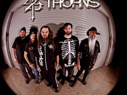 Image for 24 THORNS
