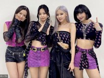 Blackpink Fans
