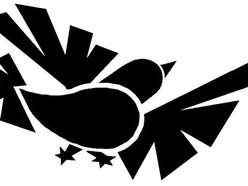 Image for One Shot Robin