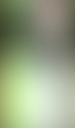 Picsart 10 31 08 20 45